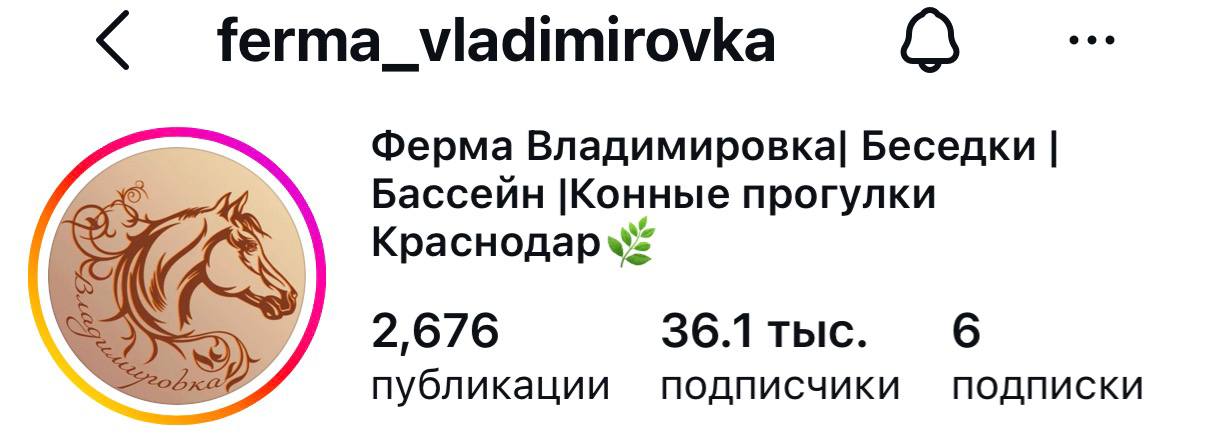 Бренд 16