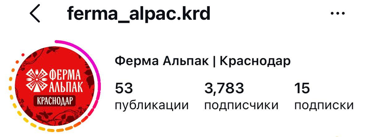 Бренд 23